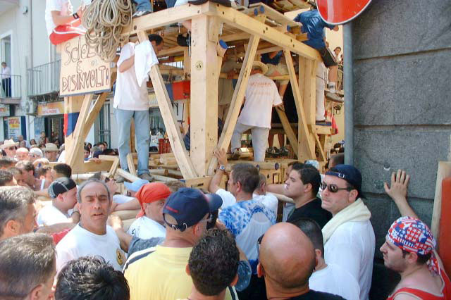 GIGLIO4