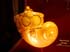 Museo des Invalides contenitore