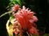 dscf0653