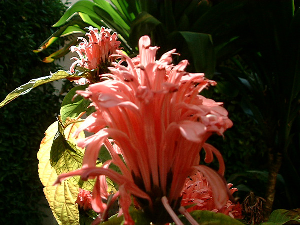 dscf0653
